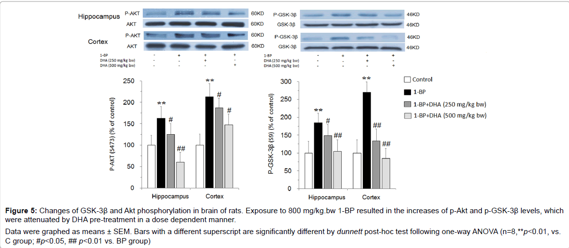 alzheimers-disease-parkinsonism-different-superscript