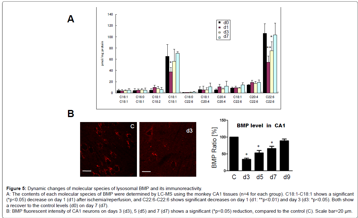 alzheimers-disease-parkinsonism-fluorescent-intensity