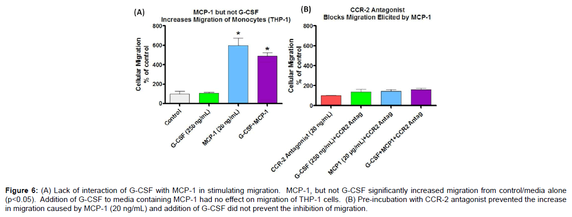 alzheimers-disease-parkinsonism-inhibition-migration	