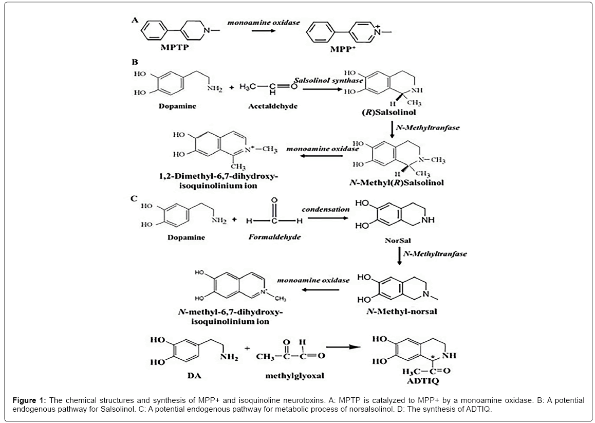 alzheimers-disease-parkinsonism-isoquinoline-neurotoxins
