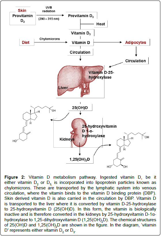 alzheimers-disease-parkinsonism-lipoprotein-particles