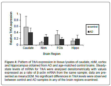 alzheimers-disease-parkinsonism-lysates-caudate
