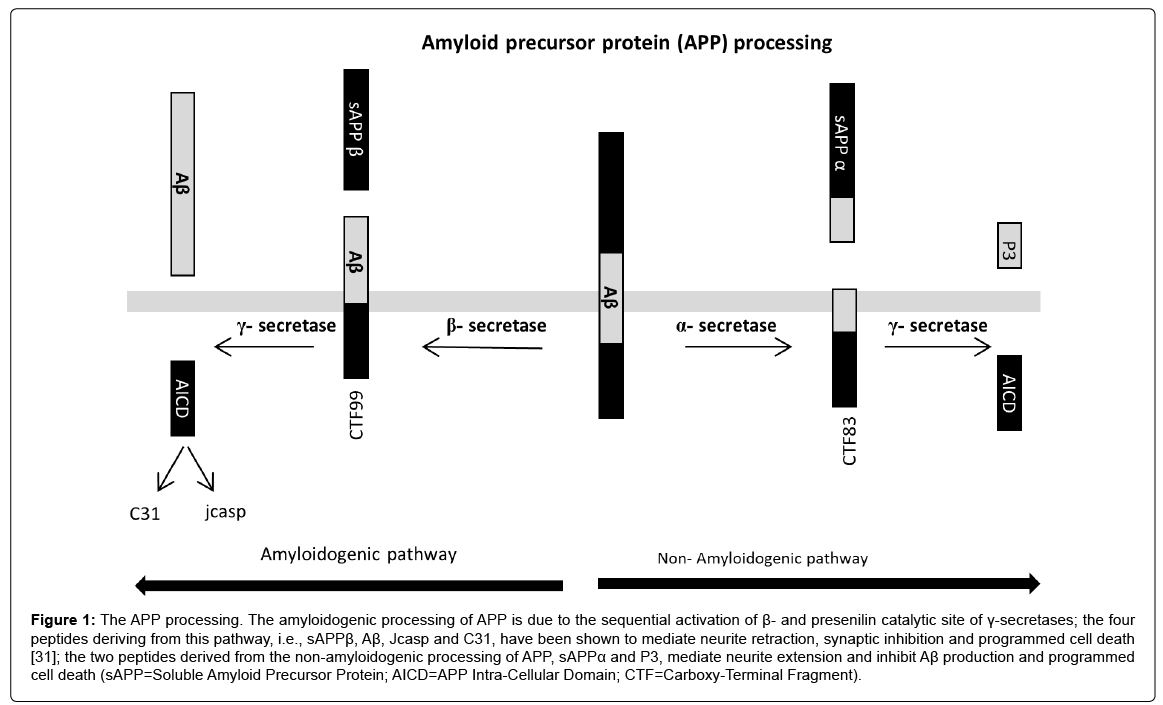 alzheimers-disease-parkinsonism-mediate-neurite
