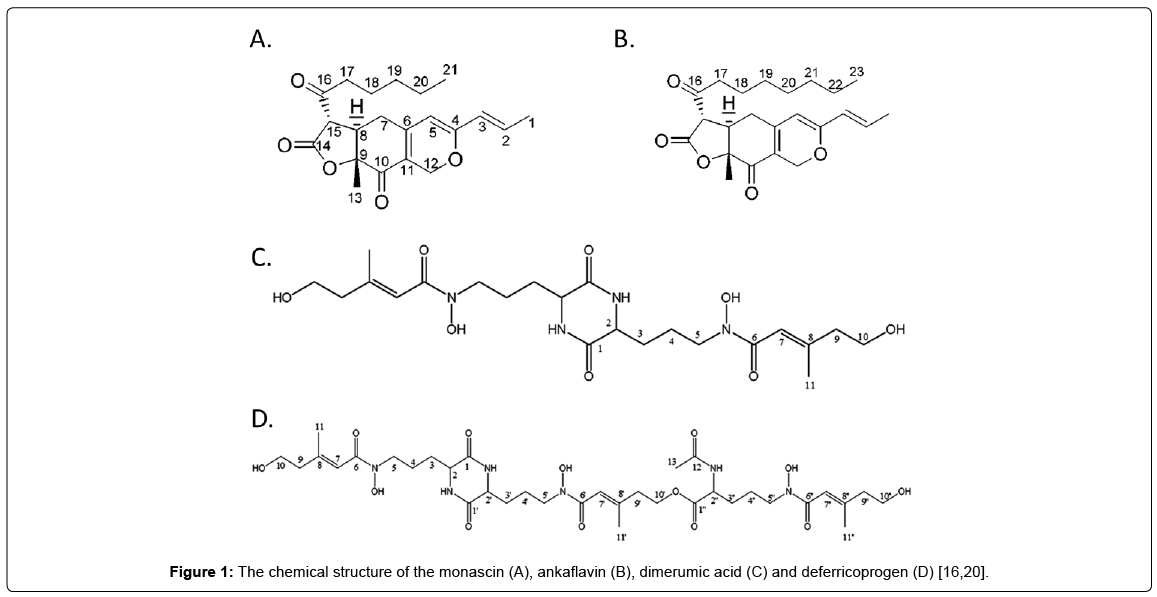 alzheimers-disease-parkinsonism-monascin