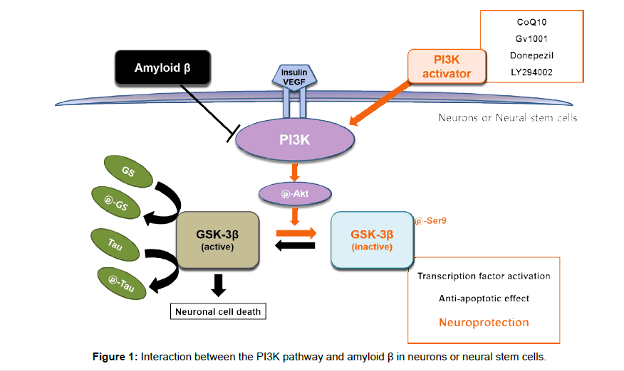 alzheimers-disease-parkinsonism-neural-stem