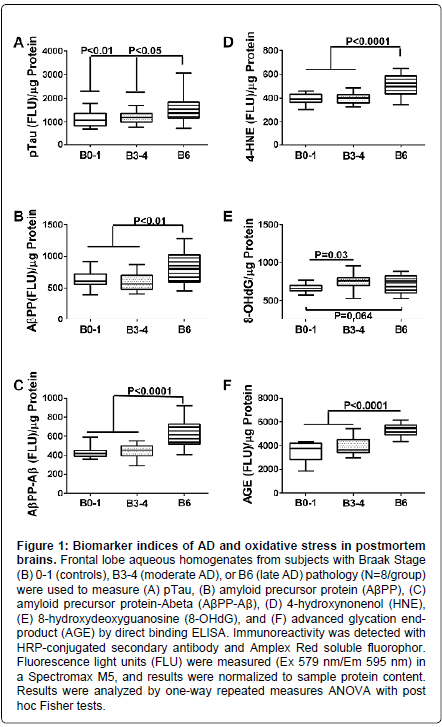 alzheimers-disease-parkinsonism-oxidative-stress