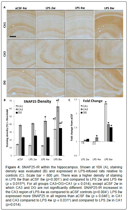 alzheimers-disease-parkinsonism-rats-relative