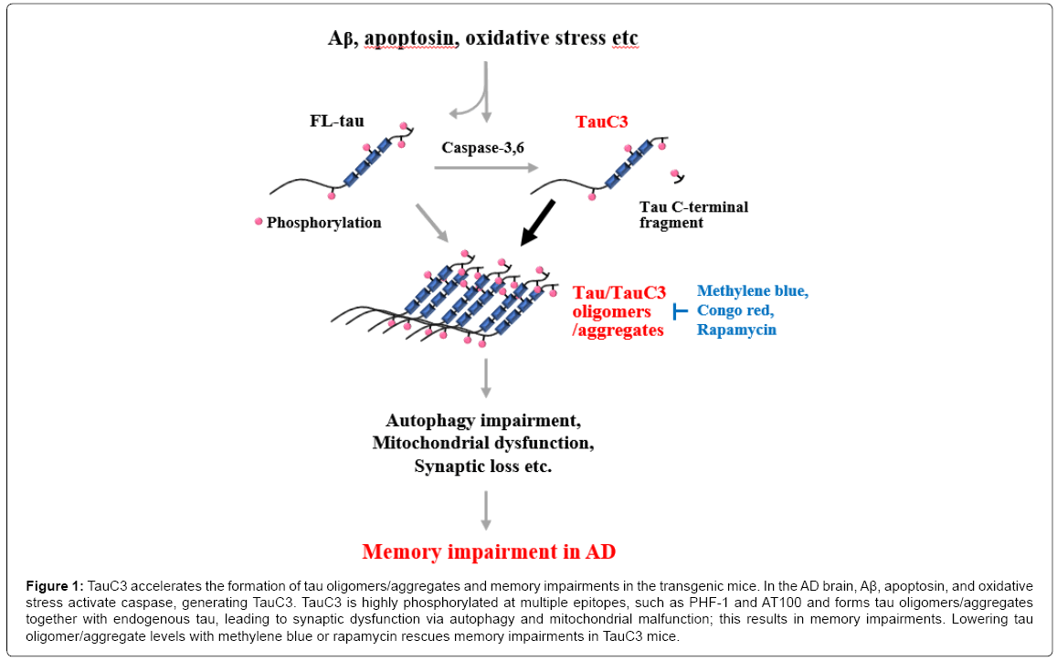alzheimers-disease-parkinsonism-transgenic-mice