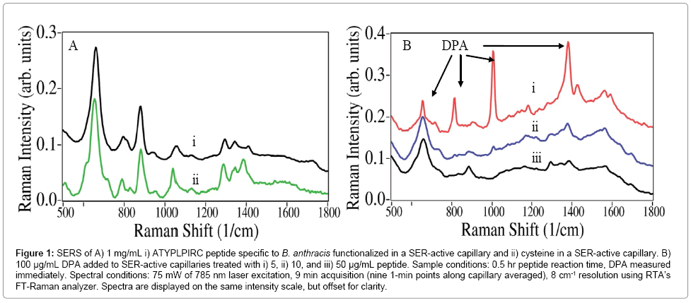 analytical-bioanalytical-techniques-ATYPLPIRC-peptide