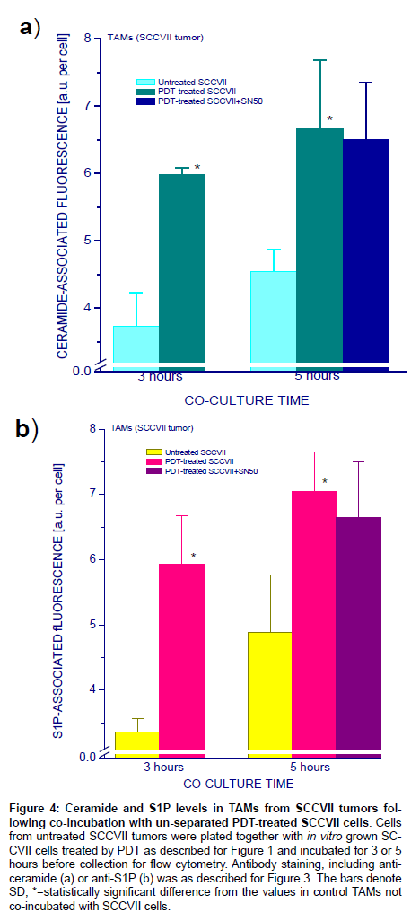 analytical-bioanalytical-techniques-Antibody-staining