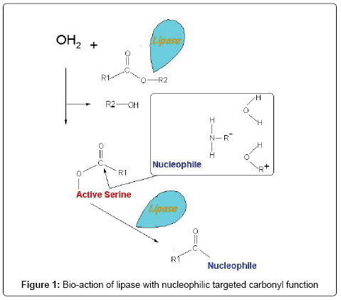 analytical-bioanalytical-techniques-Bio-action