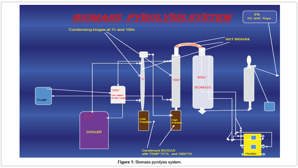 analytical-bioanalytical-techniques-Biomass-pyrolysis