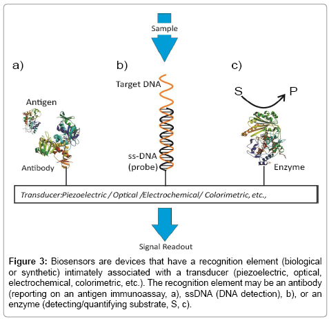 analytical-bioanalytical-techniques-Biosensors-devices