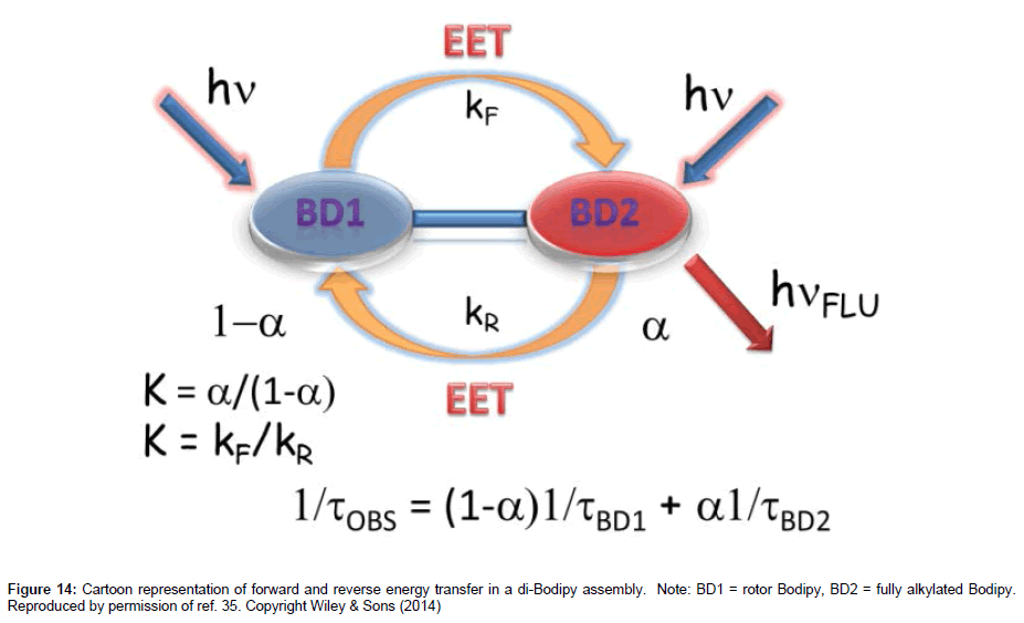 analytical-bioanalytical-techniques-Cartoon-representation