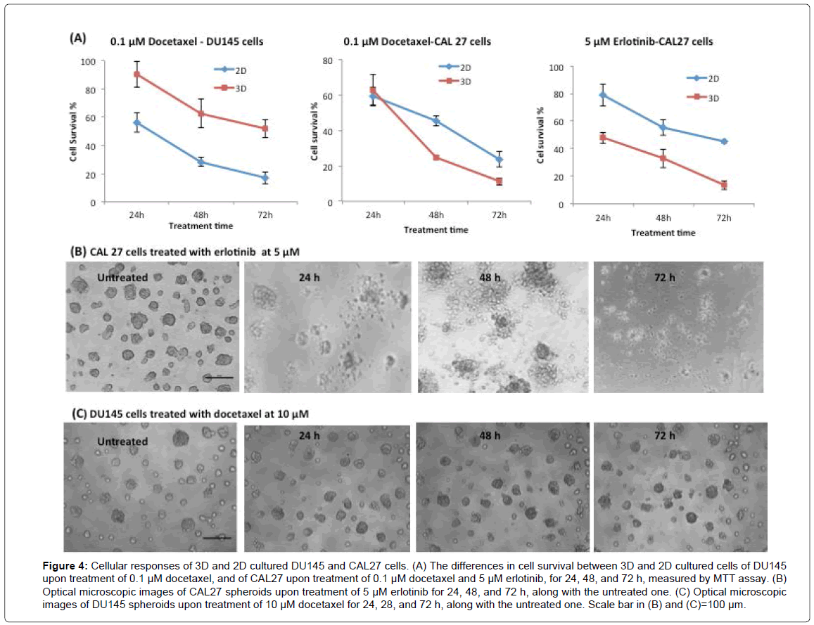 analytical-bioanalytical-techniques-Cellular-survival-docetaxel