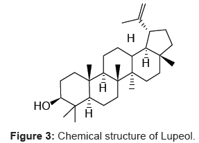 analytical-bioanalytical-techniques-Chemical-structure-Lupeol