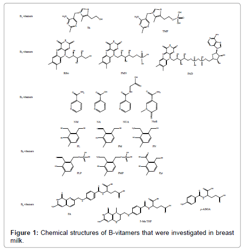 analytical-bioanalytical-techniques-Chemical-structures-B-vitamers