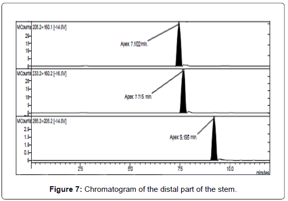 analytical-bioanalytical-techniques-Chromatogram-distal-stem