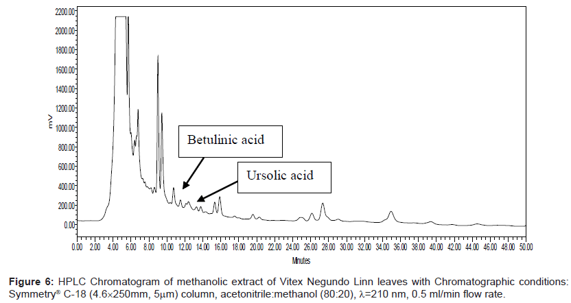 analytical-bioanalytical-techniques-Chromatogram-methanolic-Negundo