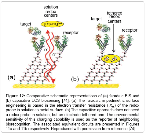 analytical-bioanalytical-techniques-Comparative-schematic