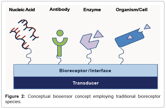 analytical-bioanalytical-techniques-Conceptual-biosensor-employing