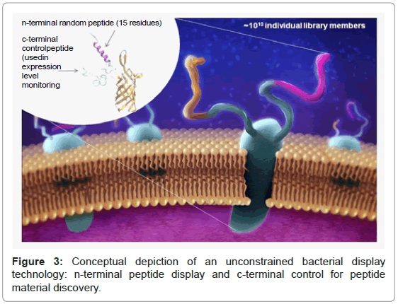 analytical-bioanalytical-techniques-Conceptual-depiction-bacterial