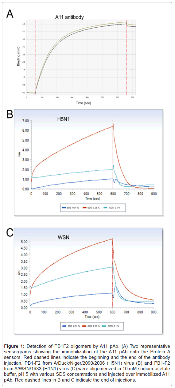 analytical-bioanalytical-techniques-Detection-oligomers-sensorgrams
