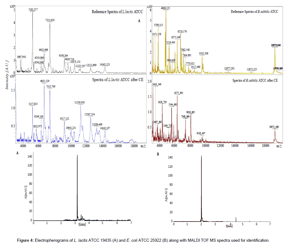 analytical-bioanalytical-techniques-Electropherograms