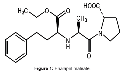 enalapril peak action