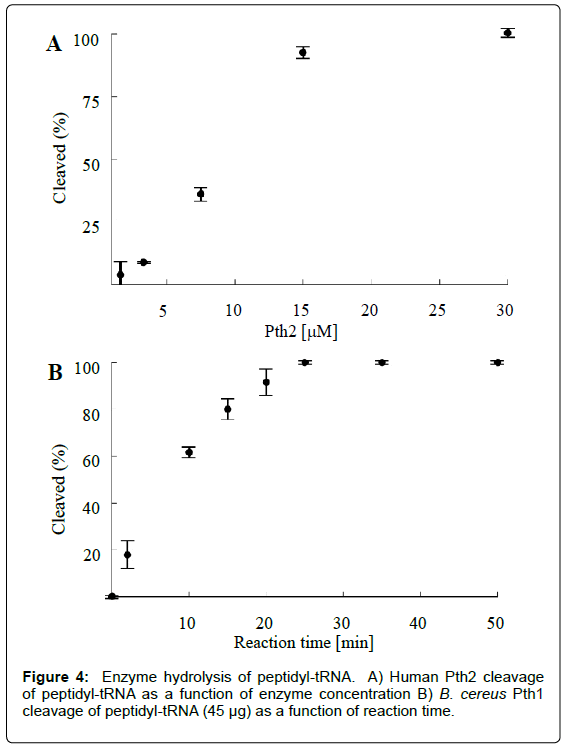 analytical-bioanalytical-techniques-Enzyme-hydrolysis-peptidyl