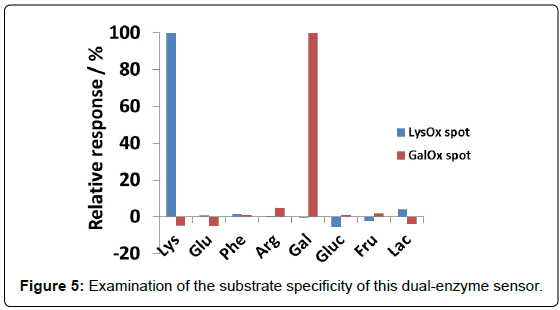 analytical-bioanalytical-techniques-Examination-substrate-enzyme