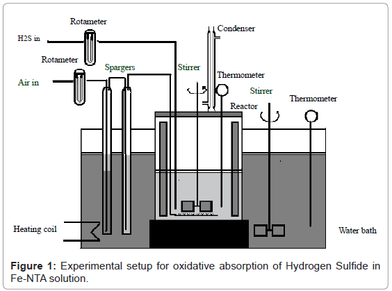analytical-bioanalytical-techniques-Experimental-oxidative-Hydrogen