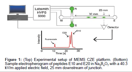 analytical-bioanalytical-techniques-Experimental-setup