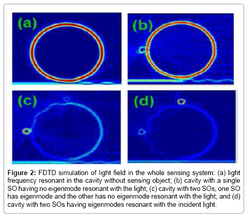 analytical-bioanalytical-techniques-FDTD-simulation