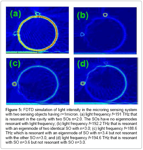 analytical-bioanalytical-techniques-FDTD-simulation