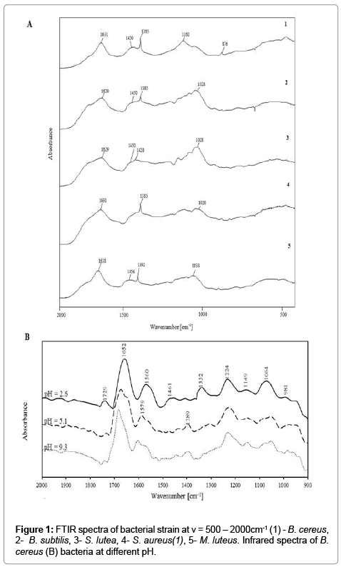 analytical-bioanalytical-techniques-FTIR-spectra