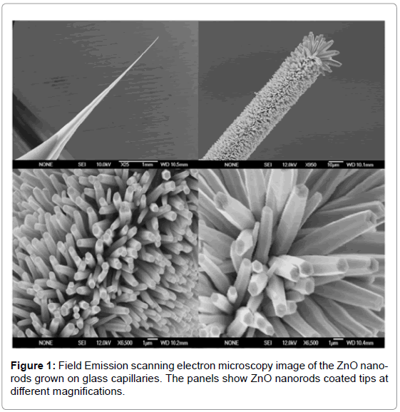 analytical-bioanalytical-techniques-Field-Emission-electron