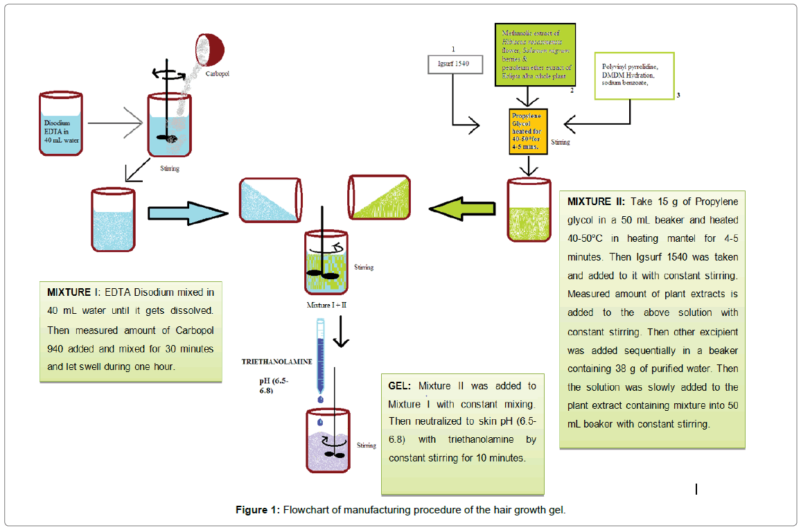 Herbal Hair Gel Formulation having 5andalpha;-Reductase Inhibitory Activity and its Standardization by HPTLC | OMICS International Herbal Hair Gel Formulation having 5andalpha;-Reductase Inhibitory Activity and its Standardization by HPTLC | OMICS International
