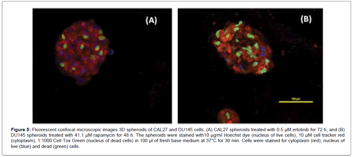 analytical-bioanalytical-techniques-Fluorescent-confocal-microscopic
