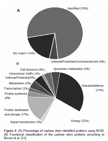 analytical-bioanalytical-techniques-Functional-classification