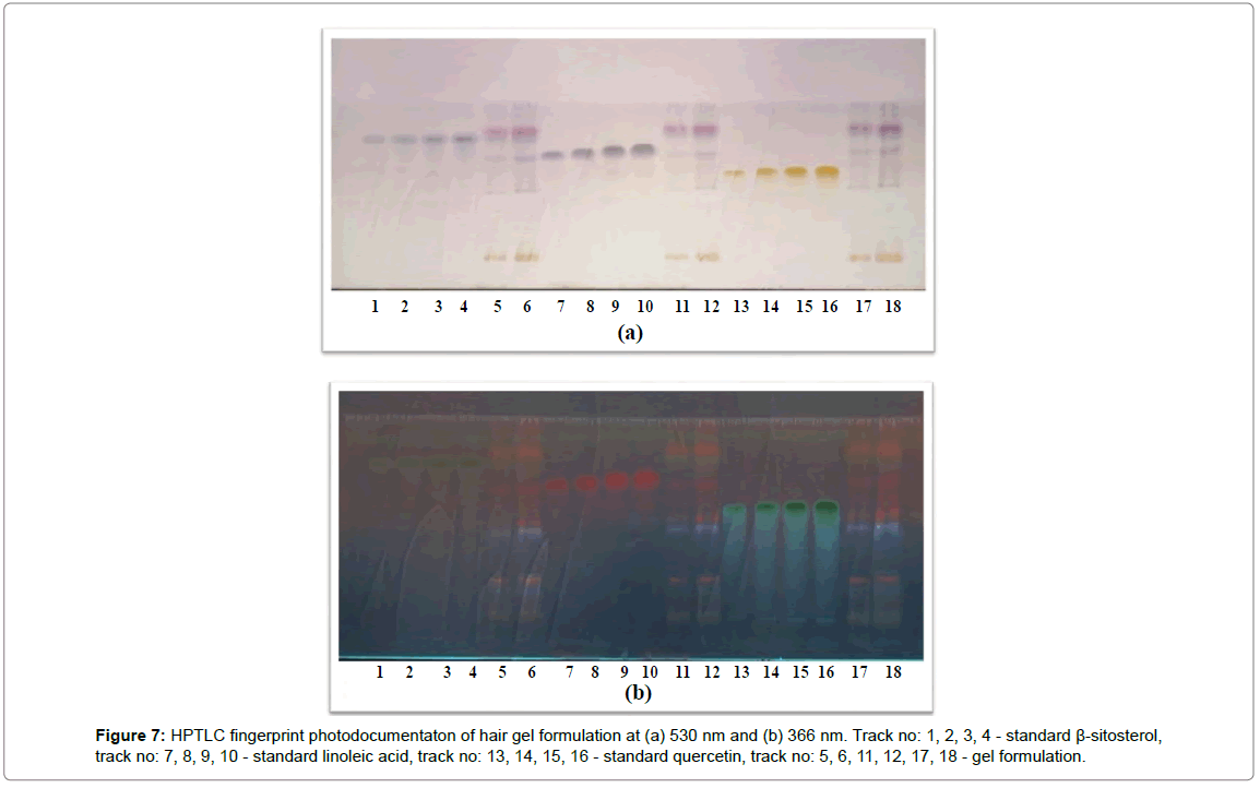 analytical-bioanalytical-techniques-HPTLC-fingerprint-photodocumentaton