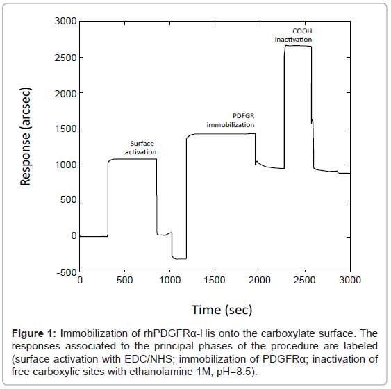 analytical-bioanalytical-techniques-Immobilization-carboxylate-surface