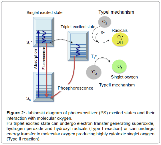 analytical-bioanalytical-techniques-Jablonski-diagram-photosensitizer