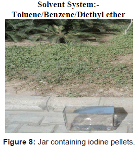 analytical-bioanalytical-techniques-Jar-iodine-pellets