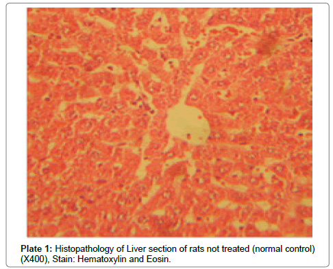 analytical-bioanalytical-techniques-Liver-section