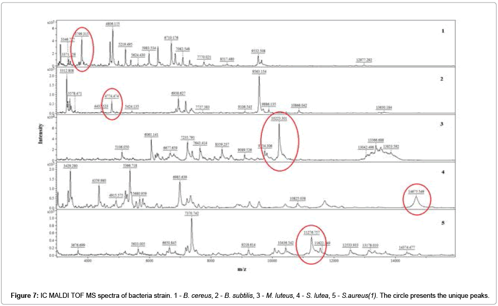 analytical-bioanalytical-techniques-MS-spectra