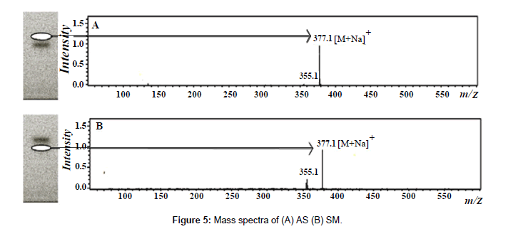 analytical-bioanalytical-techniques-Mass-spectra