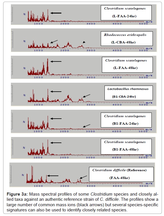 analytical-bioanalytical-techniques-Mass-spectral-species