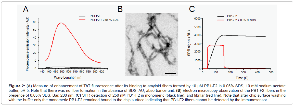 analytical-bioanalytical-techniques-Measure-fluorescence-binding