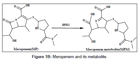 analytical-bioanalytical-techniques-Meropenem